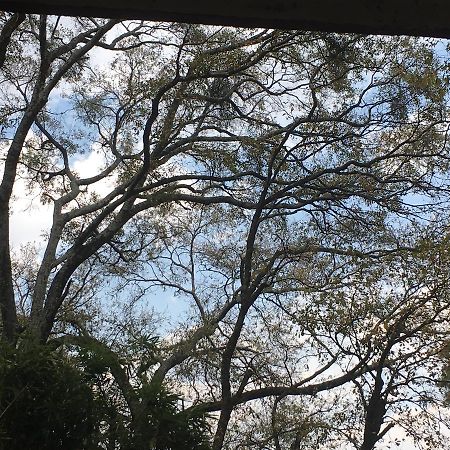 Refugio En El Bosque De Agua En Cuernavaca Villa Buitenkant foto