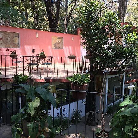 Refugio En El Bosque De Agua En Cuernavaca Villa Buitenkant foto