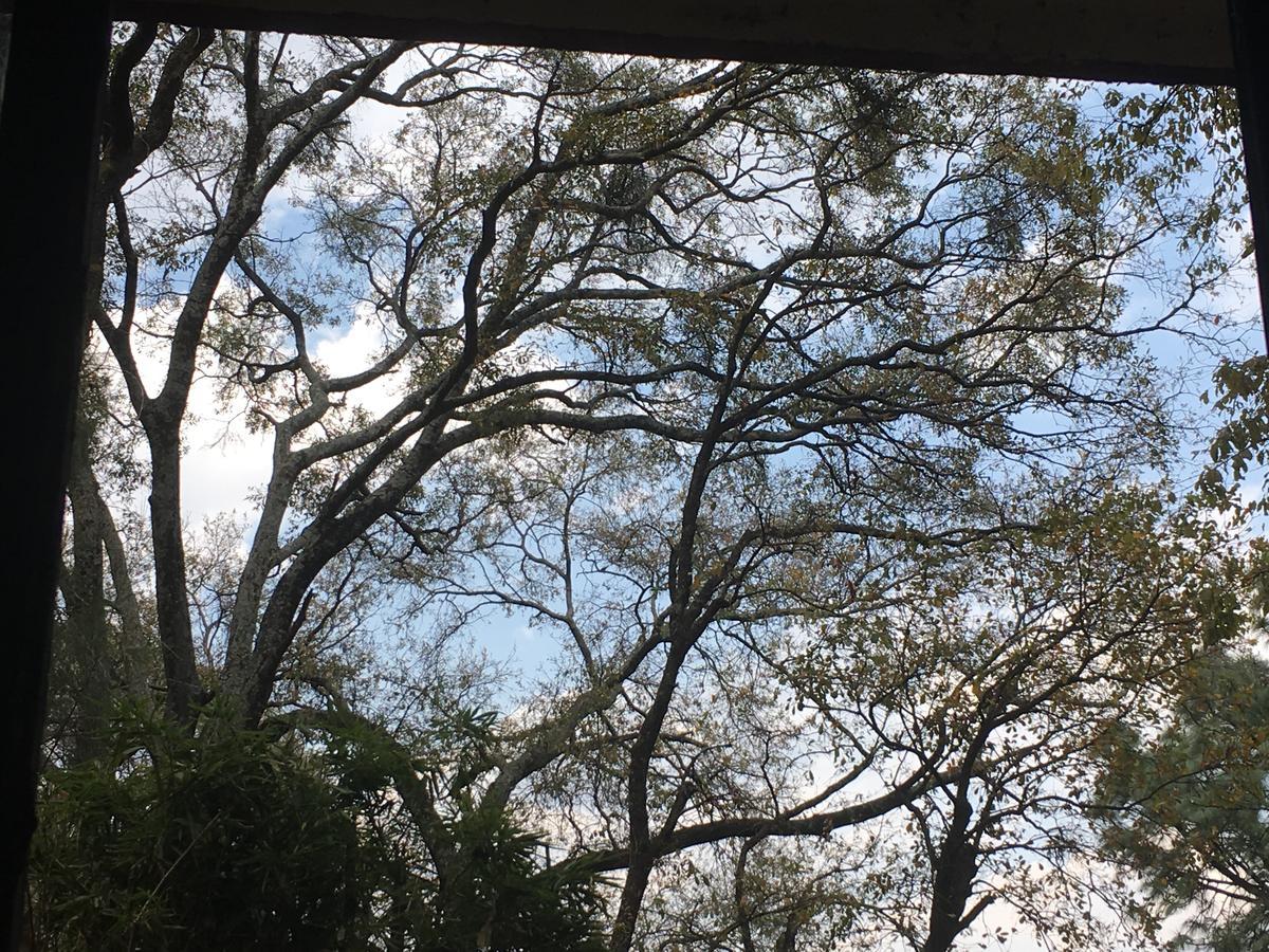 Refugio En El Bosque De Agua En Cuernavaca Villa Buitenkant foto
