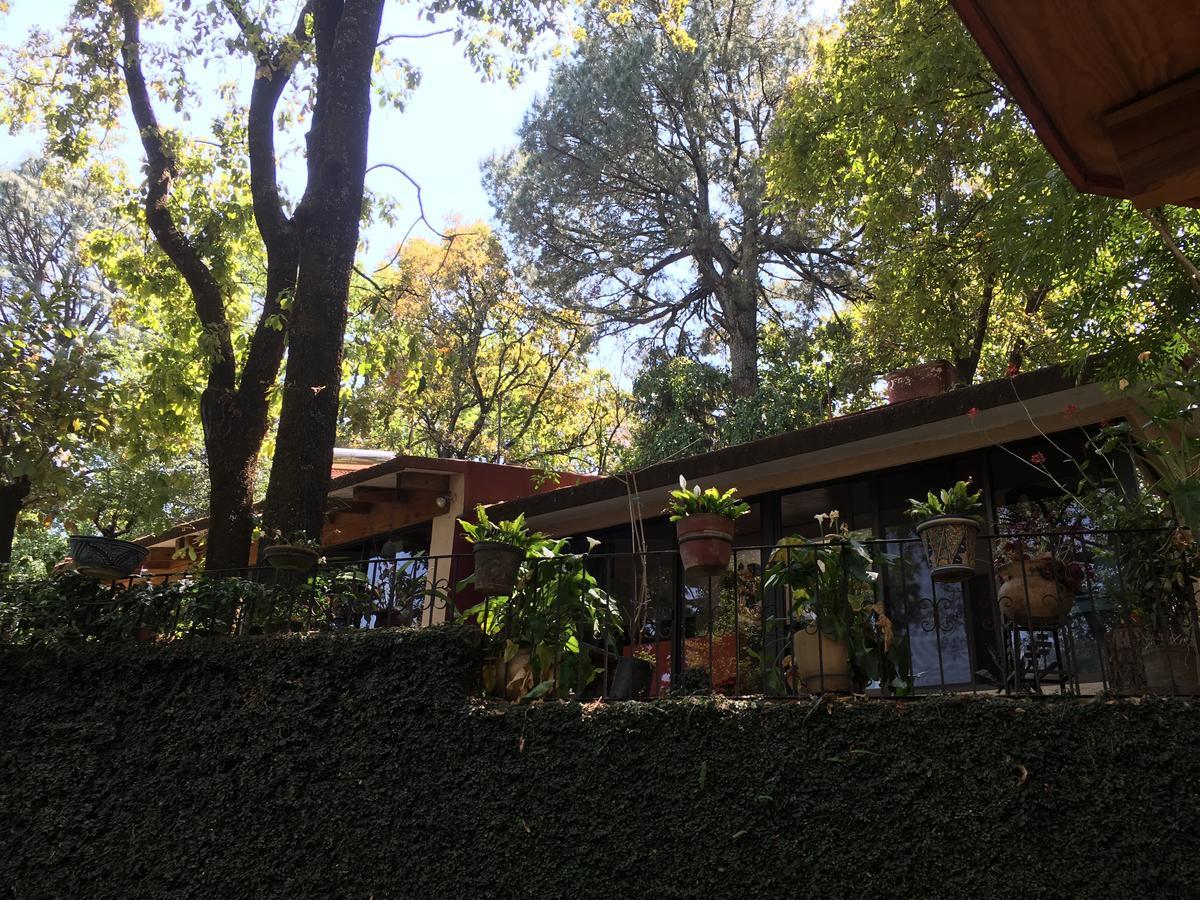 Refugio En El Bosque De Agua En Cuernavaca Villa Buitenkant foto